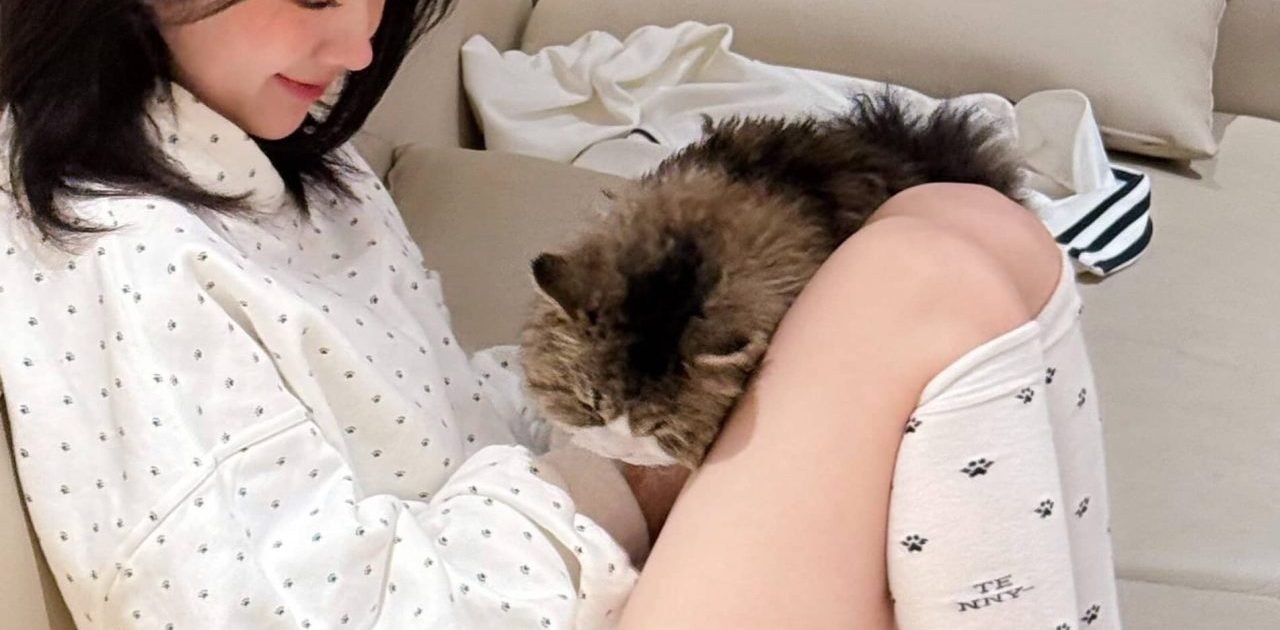 何蓝逗私服壁纸：白色唯美小清新